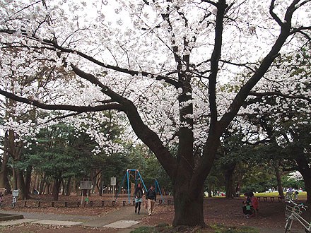 d0054855_0105245.jpg