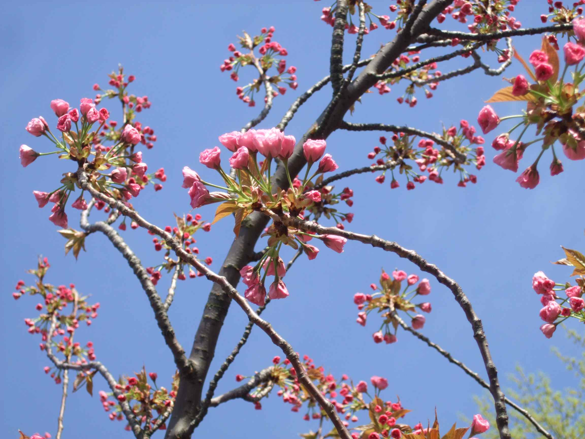 c0214560_13112216.jpg