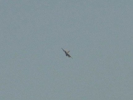 f0048860_4312465.jpg