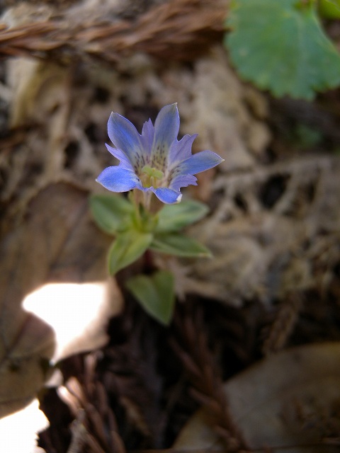 b0104861_20324246.jpg