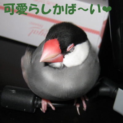 b0158061_19445699.jpg