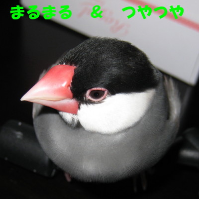 b0158061_1944698.jpg