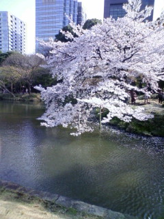 b0145863_219555.jpg