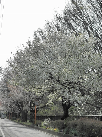 b0145863_221536.jpg