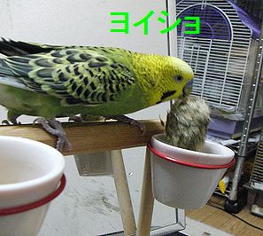 f0196665_23451268.jpg