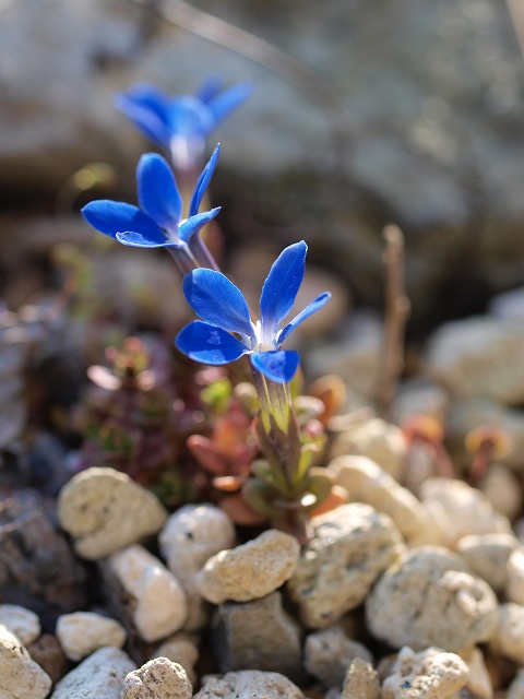 d0025568_1862597.jpg
