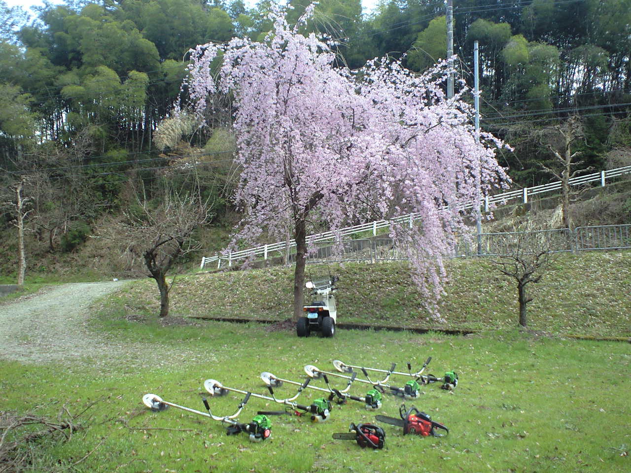 d0094868_1958326.jpg
