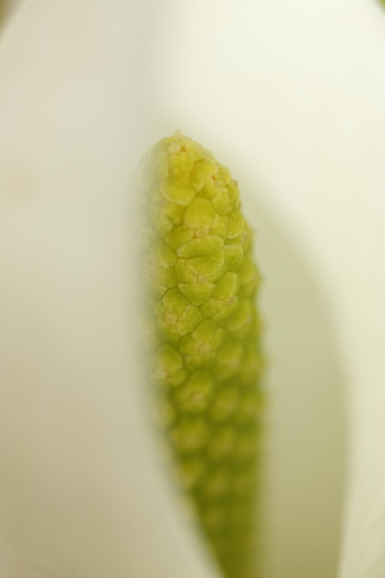 c0153672_2324816.jpg