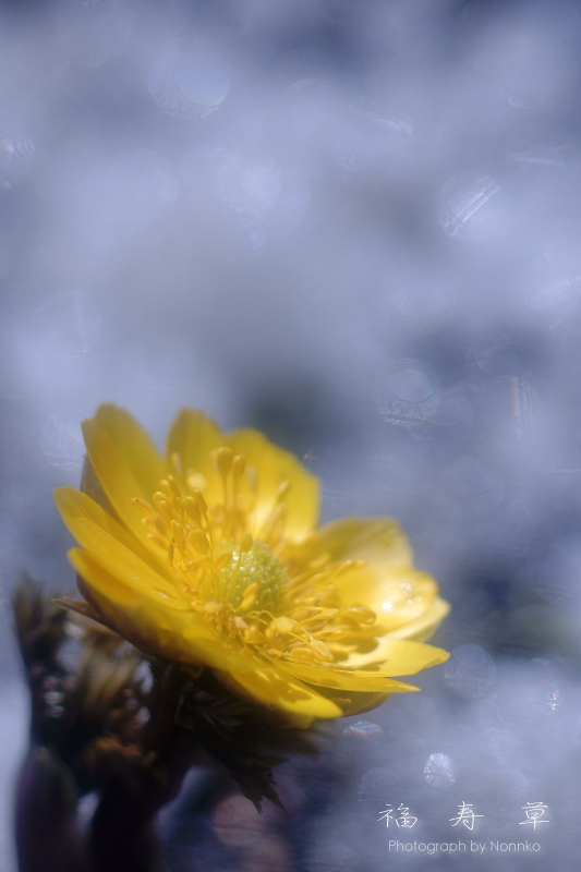 c0106977_13275921.jpg