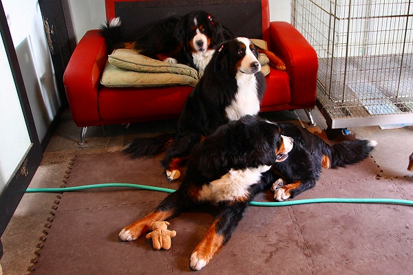 c0149178_12534040.jpg