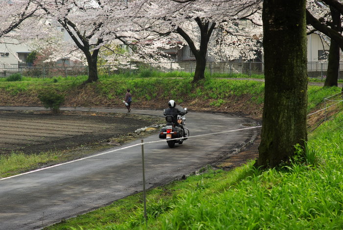 b0120979_12505482.jpg