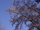 a0142083_14311952.jpg