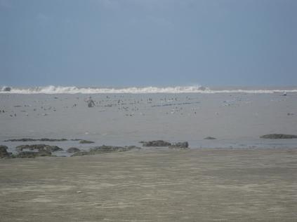 e0118683_1536915.jpg
