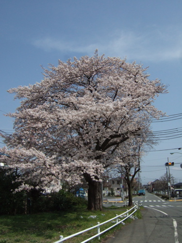 e0183783_12341317.jpg