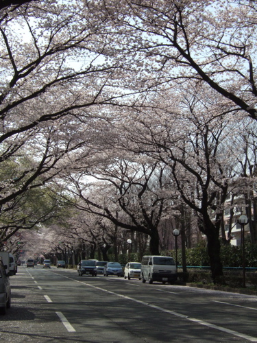 e0183783_1239133.jpg