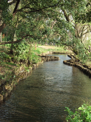 e0183783_12461278.jpg