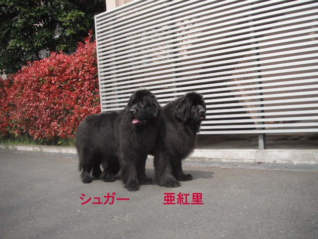 e0162984_1924926.jpg