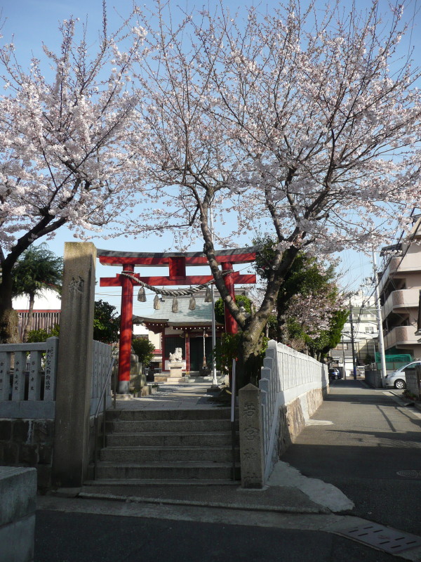 b0118987_6445162.jpg