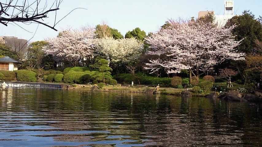 b0084893_8175264.jpg