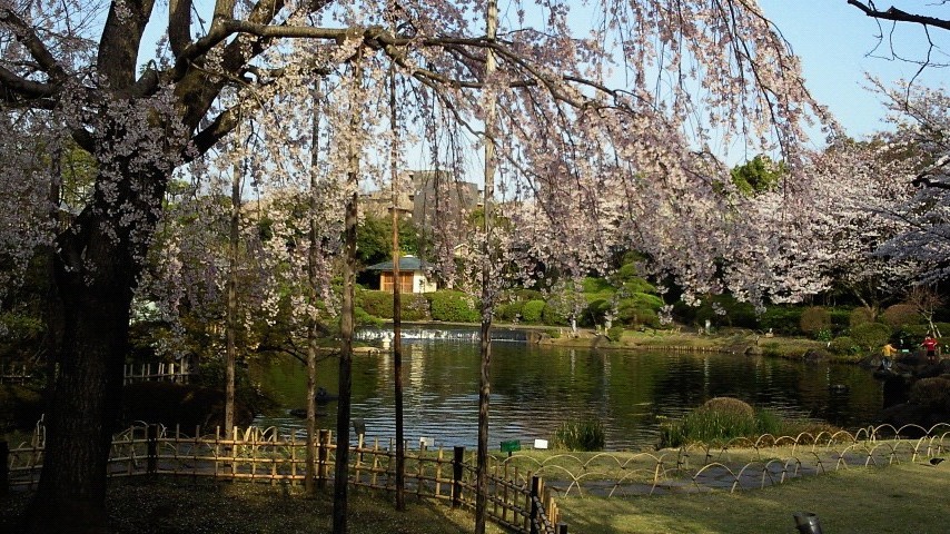 b0084893_8184968.jpg