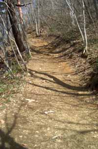b0099994_825527.jpg