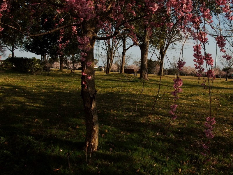 c0200895_22342723.jpg