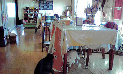c0206596_21175337.jpg