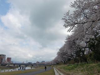 c0187298_08226.jpg