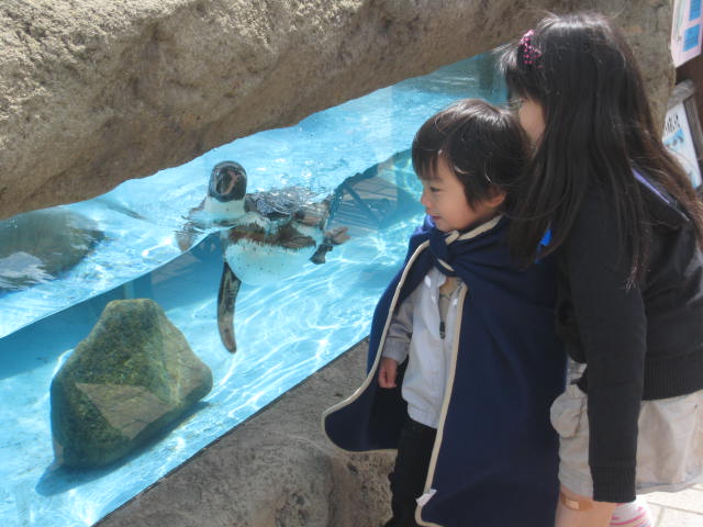 a0062400_615223.jpg