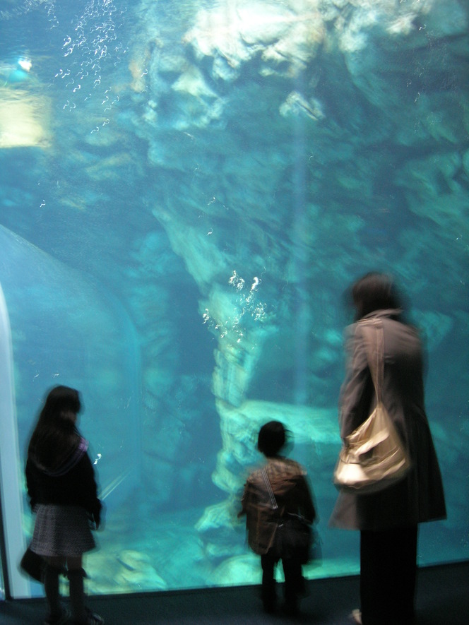 a0062400_6221167.jpg