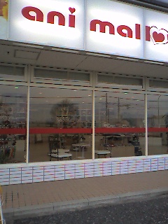 a0065800_23493216.jpg