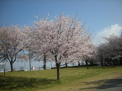 f0081100_19532532.jpg