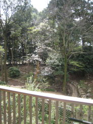 e0033301_1730466.jpg