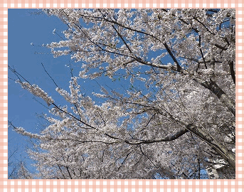 c0164603_2264418.gif