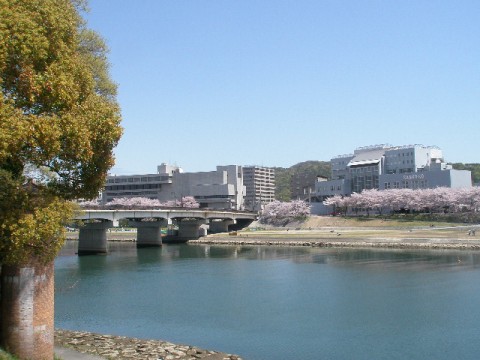 c0205806_21214285.jpg