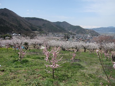 c0117007_22581151.jpg