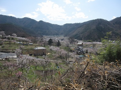c0117007_2259288.jpg