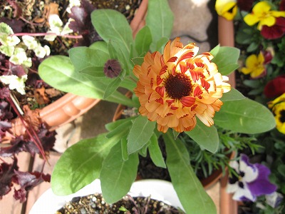 c0117007_2315639.jpg