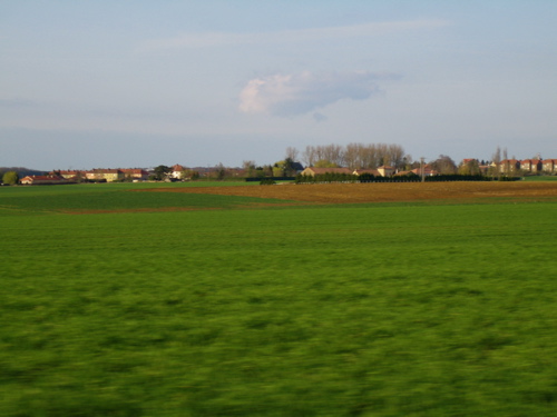 d0135907_753343.jpg