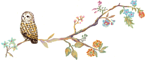 a0167510_1548346.gif