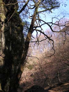 f0143412_23352230.jpg