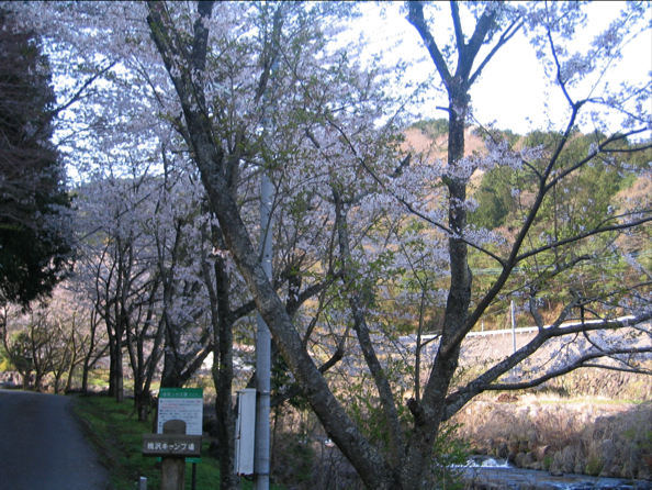 c0219815_2323449.jpg
