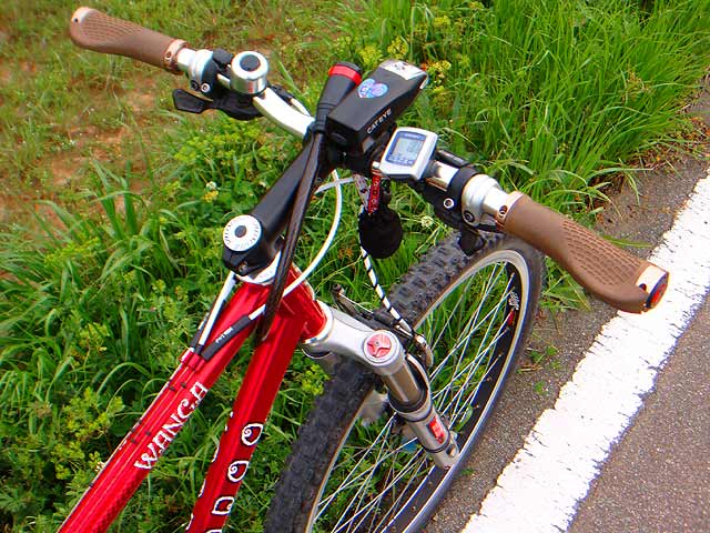 b0146418_21252423.jpg