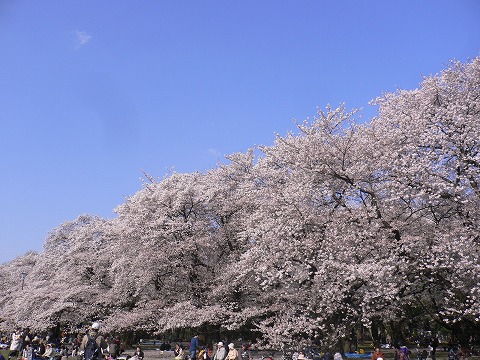 f0117618_15823.jpg