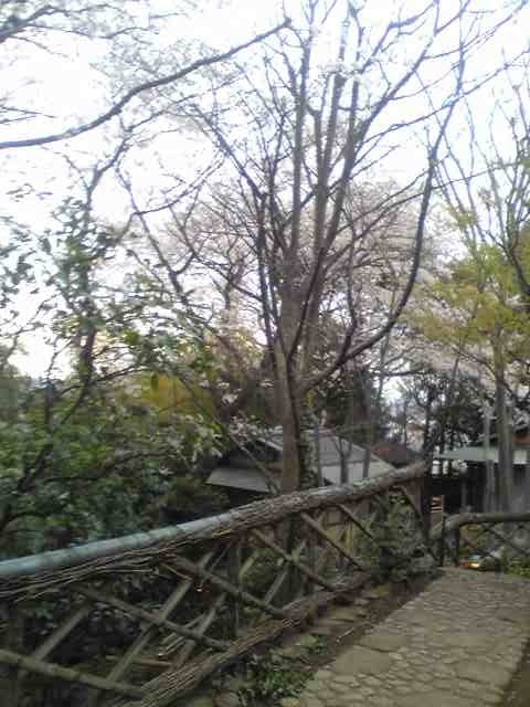 f0084723_11525580.jpg