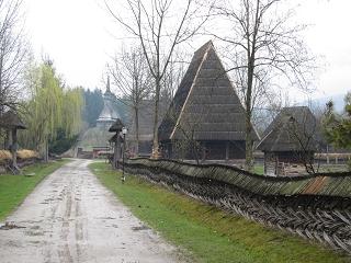 c0051529_15365447.jpg