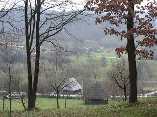 c0051529_15375296.jpg