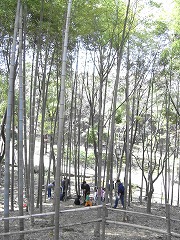a0156230_2055644.jpg
