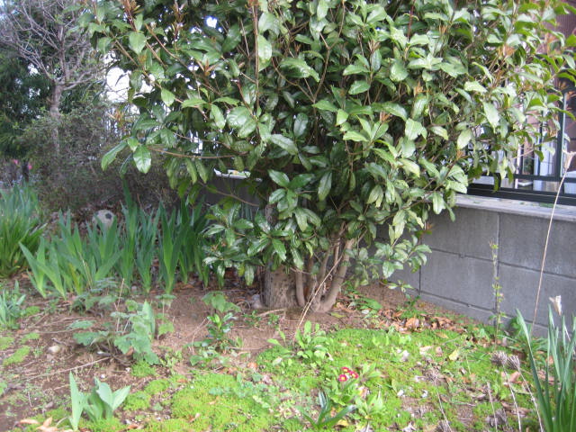 e0166032_17494620.jpg