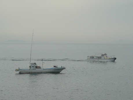 a0129233_20574248.jpg